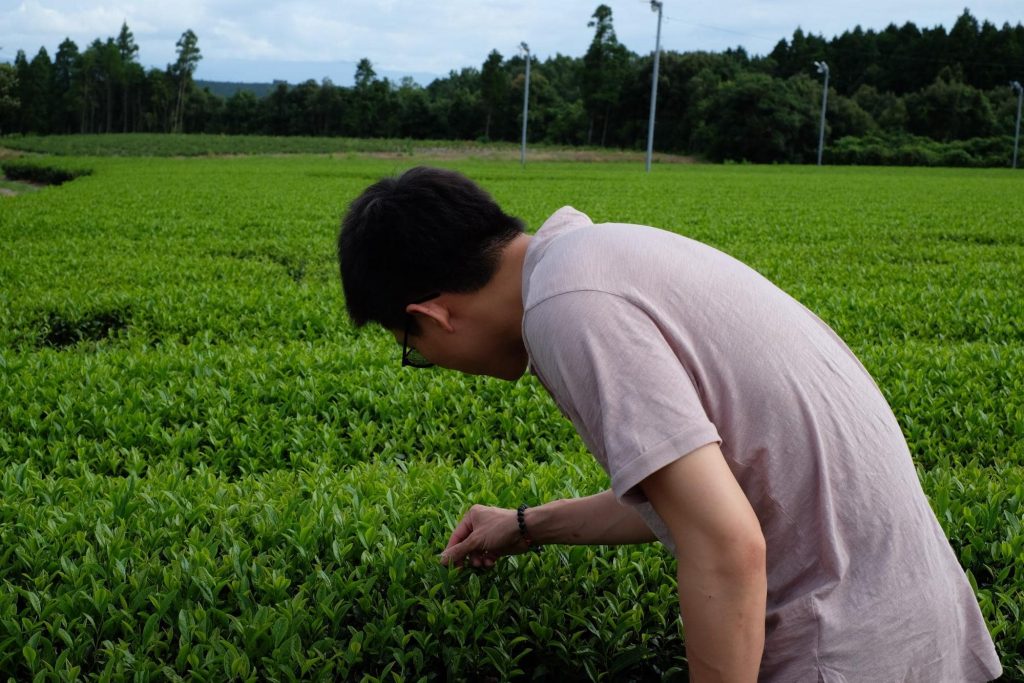 Picking A Good Matcha Tea From The Sea of Matchas