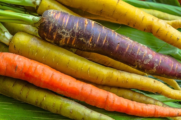 Seasonal Eating - Heirloom Carrots