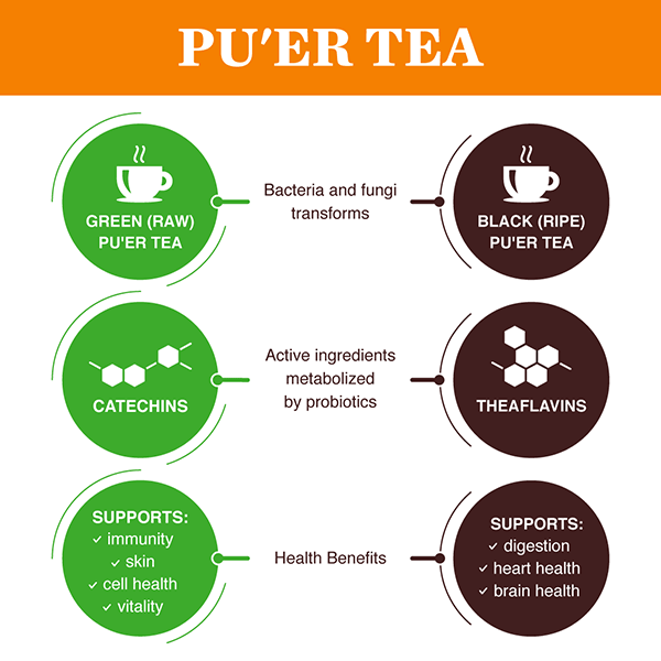 Pu'er Tea Comparison