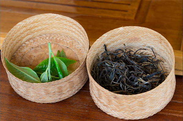 Best English Breakfast Tea: Assam Tea from India