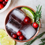 Ginger Cranberry Moscow Mule Main