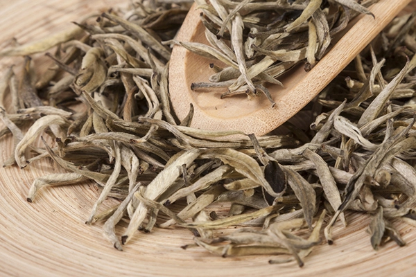 Typical Appearance of White Tea