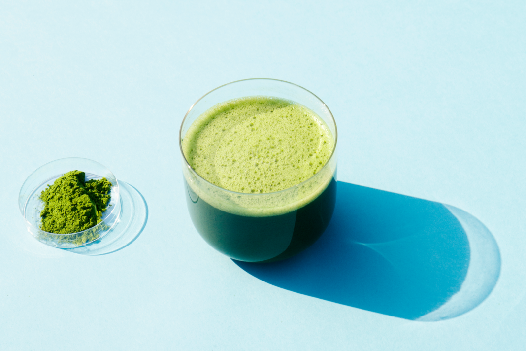 Green Tea Extract vs. Green Tea- Pros and Cons