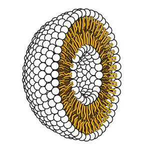 What Are Liposomes?