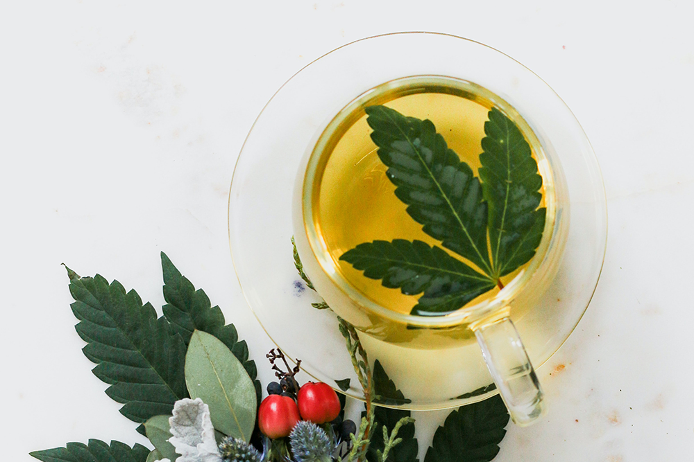 What to Know About CBD Tea